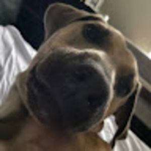 Meet your Posher, Ella